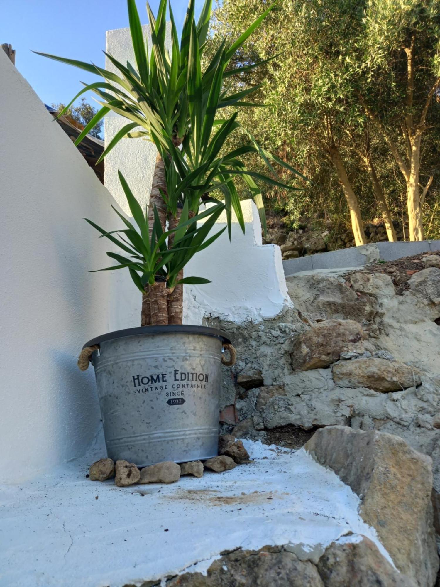 Casa25 Villa Alenquer Dış mekan fotoğraf